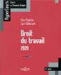 Droit Du Travail 2019 - 13e Ed. - Preview
