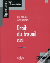 Capa do artigo Droit Du Travail 2019 - 13e Ed.