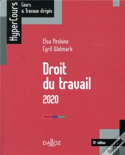 Capa do artigo Droit Du Travail 2019 - 13e Ed.