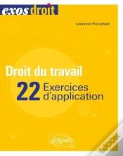 Capa do artigo Droit Du Travail - 22 Exercices D