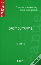 Droit Du Travail (2e Édition)