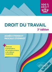 Droit Du Travail (2e Édition)