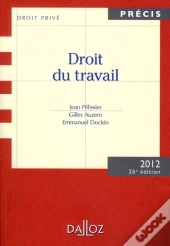Droit Du Travail (Édition 2011)