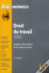 Droit Du Travail (Édition 2012)