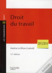 Droit Du Travail (Édition 2013/2014)