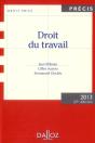 Droit Du Travail. Edition 2013 - 27e Edition - Preview