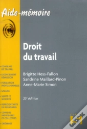 Droit Du Travail (Édition 2013)