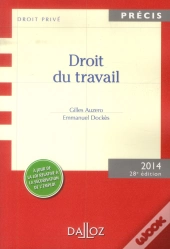 Droit Du Travail (Édition 2014)