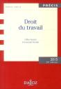 Droit Du Travail ; Édition 2015 - Preview