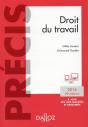 Droit Du Travail. Edition 2016 - Preview