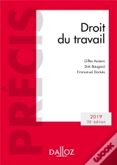 Droit Du Travail (Édition 2019)