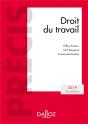 Droit Du Travail (Édition 2019) - Preview