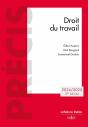 Droit Du Travail (Édition 2024 - Preview