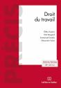 Droit Du Travail (Édition 2025/2026) - Preview