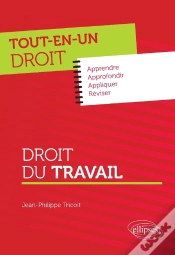 Capa do artigo Droit Du Travail