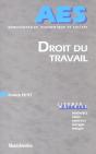 Droit Du Travail ; Licence Maitrise - Preview