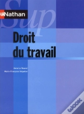 Capa do artigo Droit Du Travail (Nathan Sup) 2011