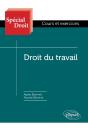 Droit Du Travail - Preview
