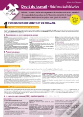 Droit Du Travail ; Relations Individuelles (2e Édition)