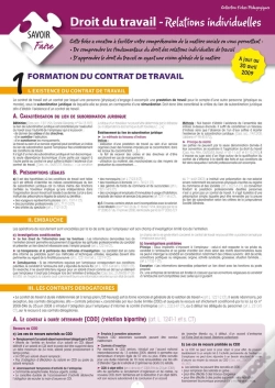 Capa do artigo Droit Du Travail ; Relations Individuelles (2e Édition)