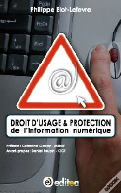 Capa do artigo Droit D'Usage Et Protection De L'Information Numérique