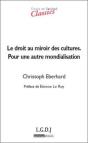 Droit & Societe : Le Droit Au Miroir Des Cultures ; Pour Une Autre Mondialisation - Preview