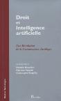 Droit Et Intelligence Artificielle ; Une Révolution De La Connaissance Juridique - Preview