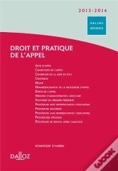 Droit Et Pratique De L'Appel (Édition 2013/2014)