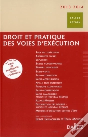 Capa do artigo Droit Et Pratique Des Voies D