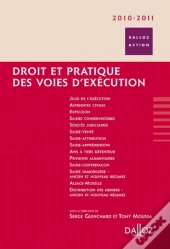 Droit Et Pratique Des Voies D'Exécution (Édition 2010/2011 )