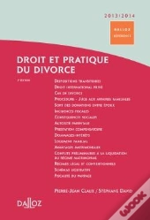 Droit Et Pratique Du Divorce (Édition 2013/2014)