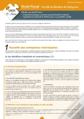 Droit Fiscal ; Fiscalité Des Bénéfices Des Entreprises