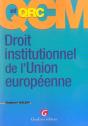 Droit Institutionnel De L'Union Europeenne - Preview