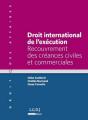 Droit Internationa De L'Execution - Preview