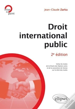 Capa do artigo Droit International Public 2eme Edition