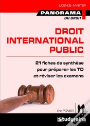 Capa do artigo Droit International Public