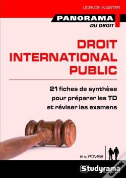 Capa do artigo Droit International Public