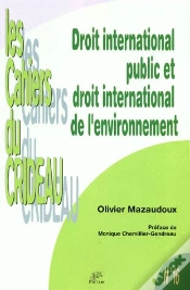 Capa do artigo Droit International Public Et Droit International De L