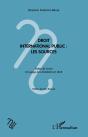 Droit International Public : Les Sources ; Notes De Cours À L'Usage Des Étudiants En Droit - Preview