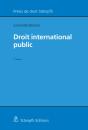 Droit International Public - Preview