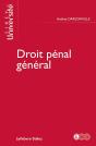 Droit Pénal Général - Preview