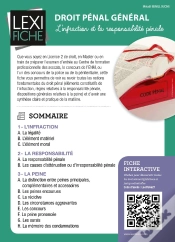 Capa do artigo Droit Penal General