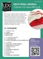 Droit Penal General - Preview