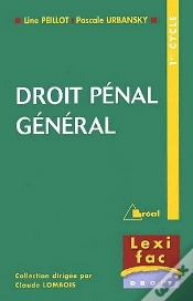 Capa do artigo Droit Penal