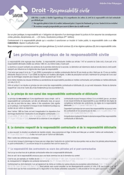 Capa do artigo Droit- Responsabilite Civile