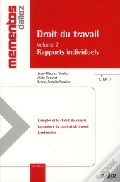 Droit Travail T.2 ; Rapports Individuels (Édition 2011)