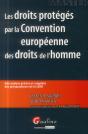 Droits Proteges Par La Cedh (Les) - Preview