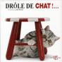 Drole De Chat - Preview