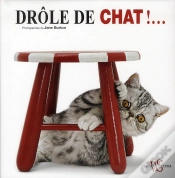 Capa do artigo Drole De Chat