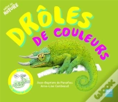Drole De Couleur